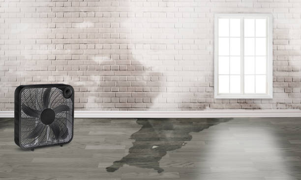 Water damage restoration process in AL