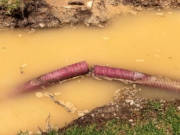 Best Flood restoration services  in West End Cobb Town, AL
